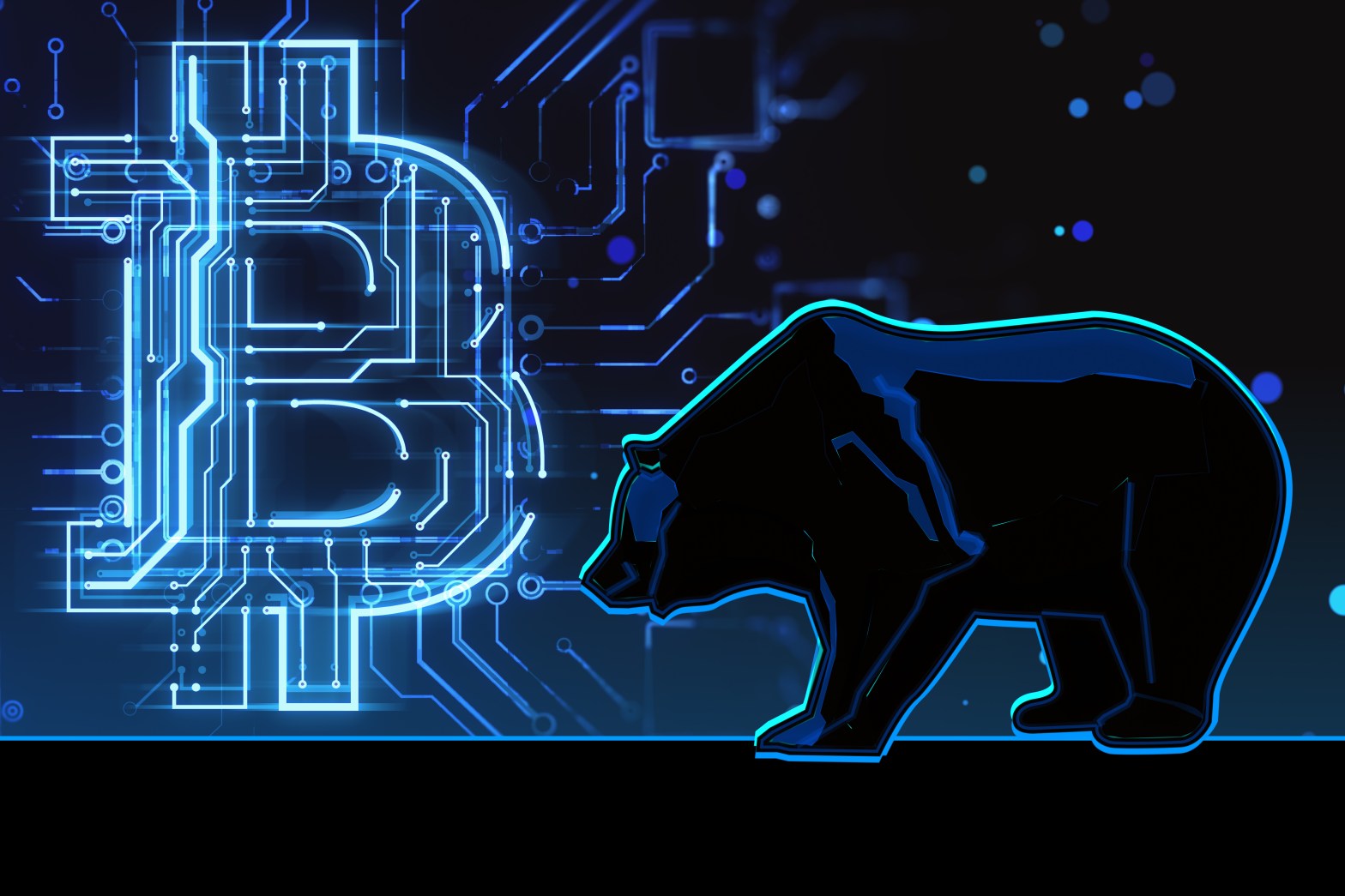 crypto bear market